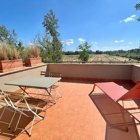 Terravita Winery & Boutique *