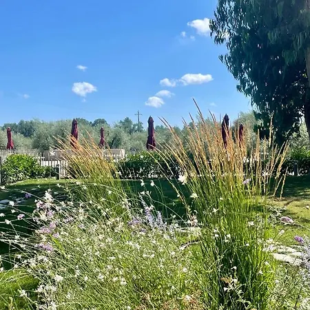 Terravita Winery & Boutique *
