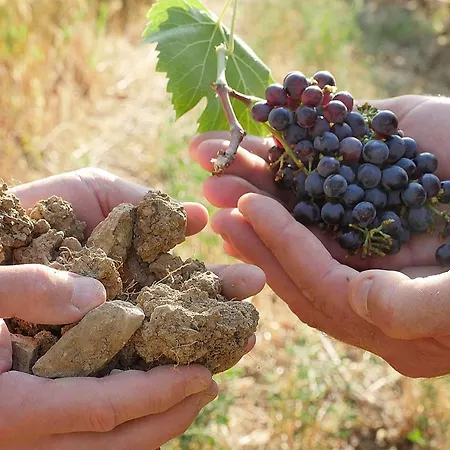 Lägenhetshotell Terravita Winery & Boutique 4*