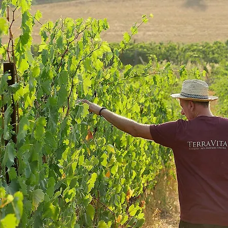Lägenhetshotell Terravita Winery & Boutique Suvereto