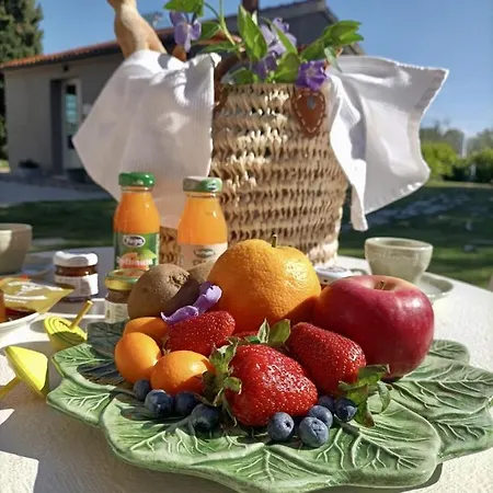 Terravita Winery & Boutique *