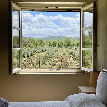 Terravita Winery & Boutique Suvereto