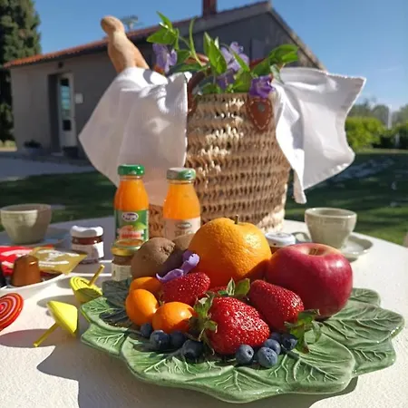 Terravita Winery & Boutique Aparthotel